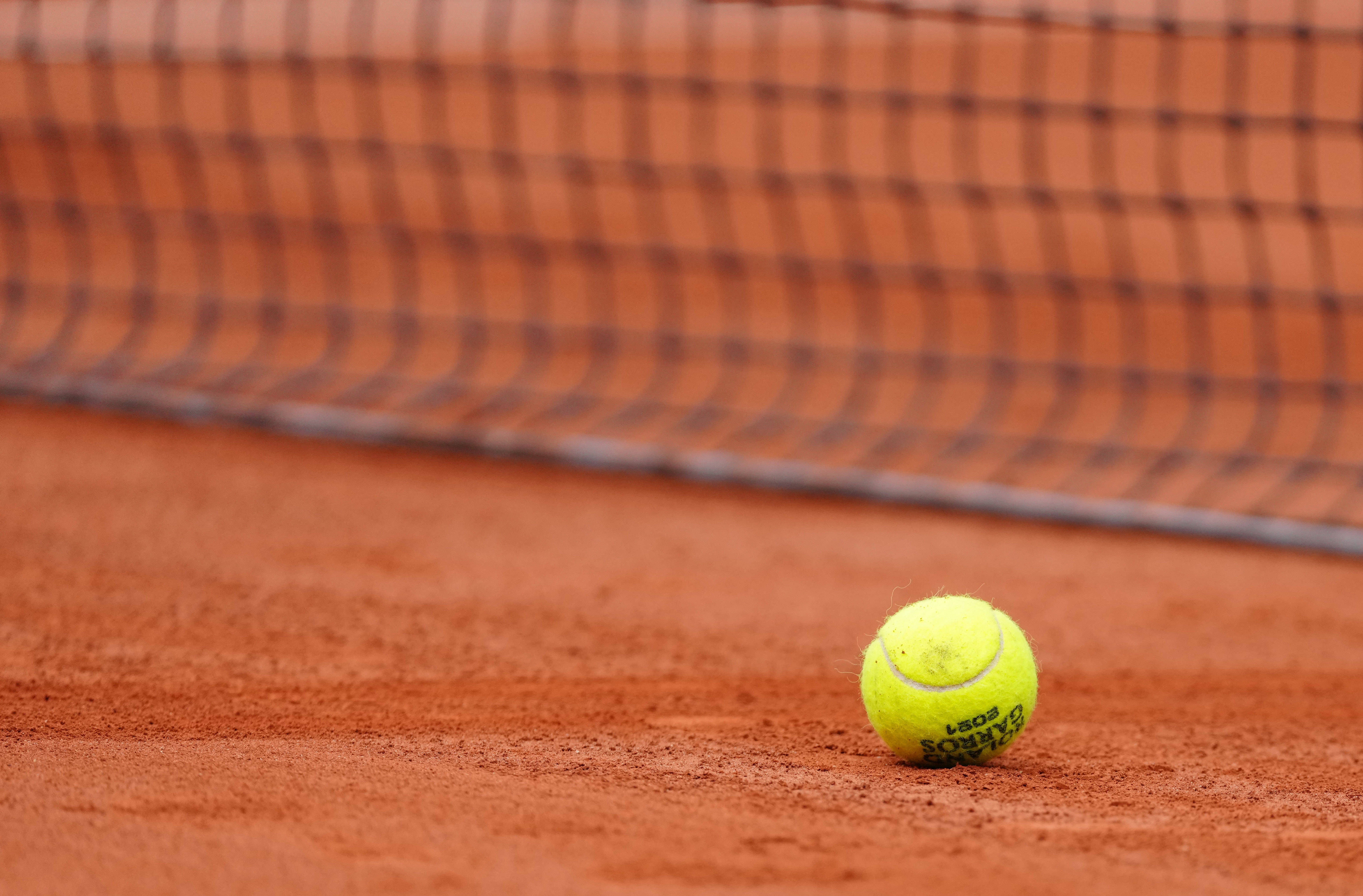 仅学习到了 仅学习到了